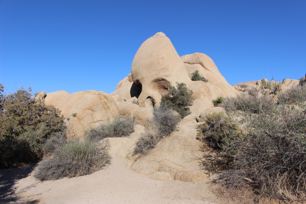 UNADJUSTEDNONRAW_thumb_902