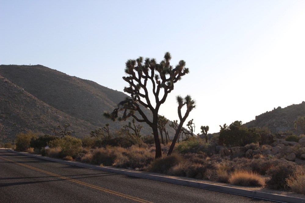 UNADJUSTEDNONRAW_thumb_913