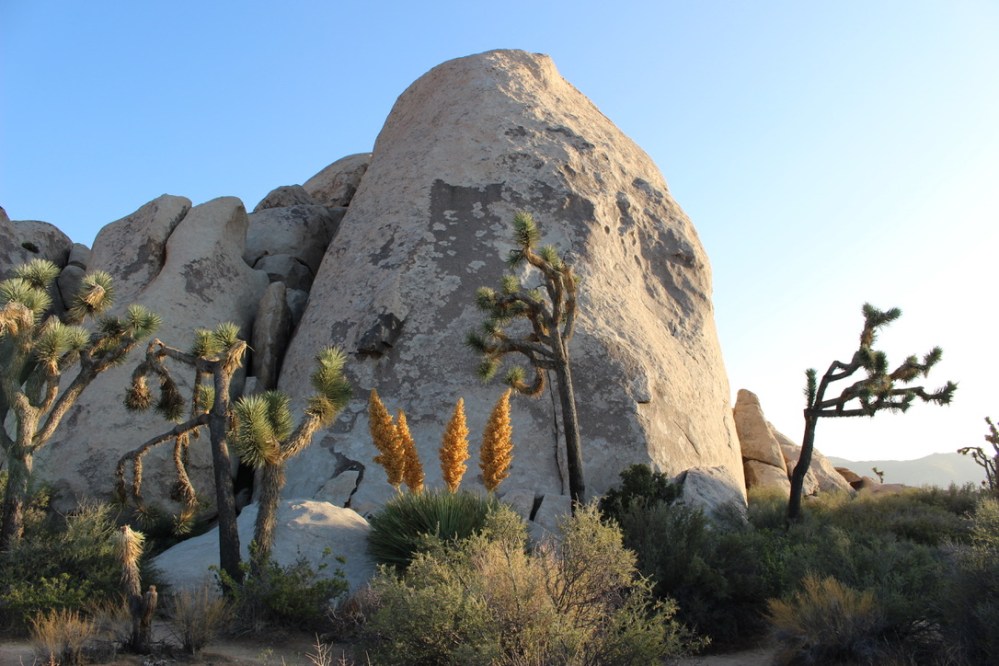 UNADJUSTEDNONRAW_thumb_91b