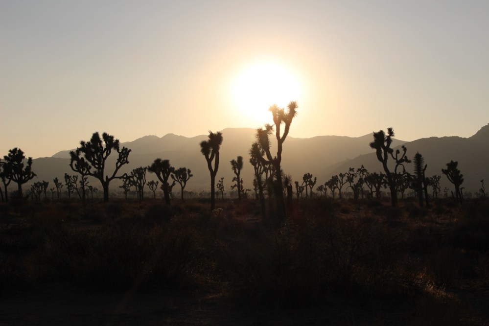 UNADJUSTEDNONRAW_thumb_934